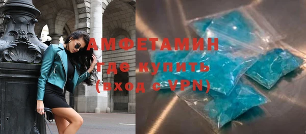 шишки Верея
