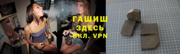 шишки Верея