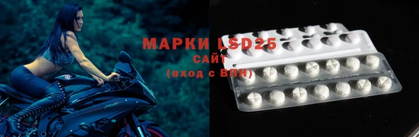 шишки Верея