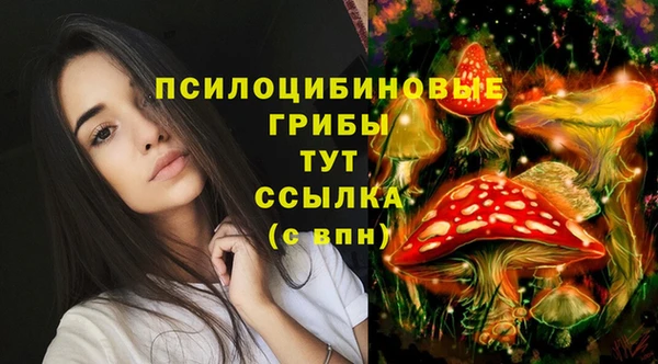 марки lsd Бородино