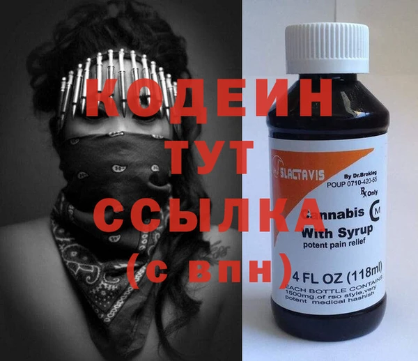 шишки Верея