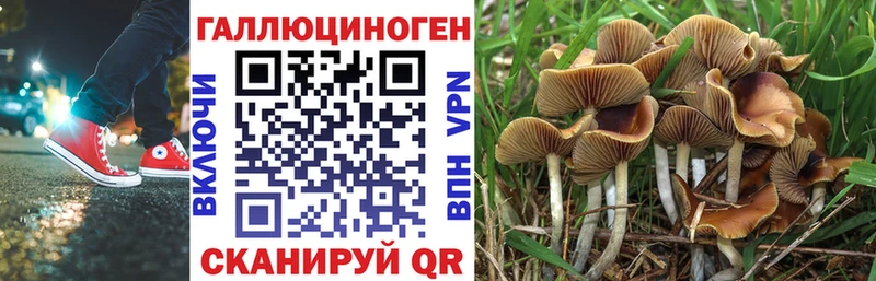 Псилоцибиновые грибы мухоморы  Дагестанские Огни 
